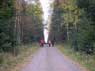 Lammij&auml;rven Mets&auml;veikot